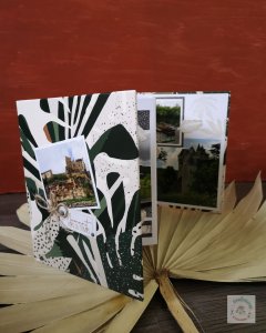 Mini-album nature